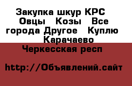Закупка шкур КРС , Овцы , Козы - Все города Другое » Куплю   . Карачаево-Черкесская респ.